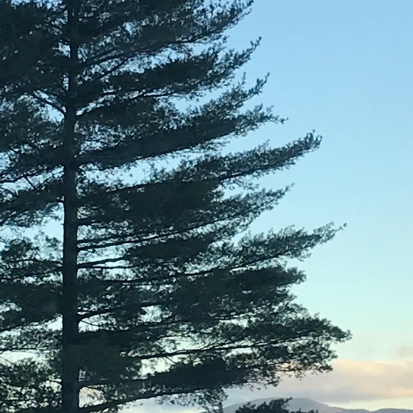 Meet your Posher, Sally - Picture 1 of 1